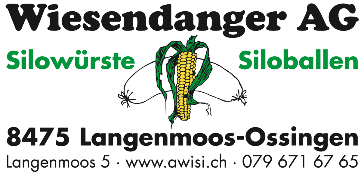 Wiesendanger AG