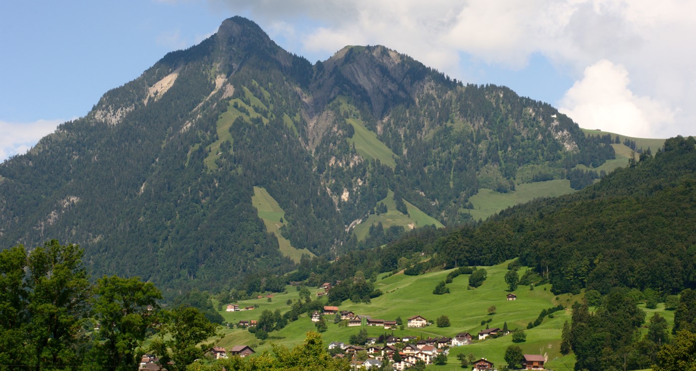 Üppig grün (Bild: Wikipedia)