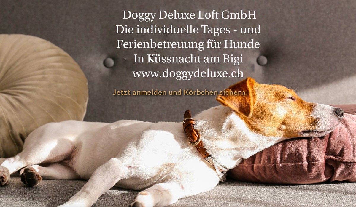 Doggy Deluxe Loft GmbH