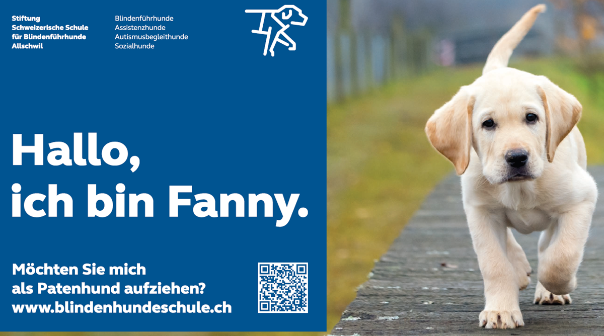 Stiftung Schweizerische Schule für Blindenführhunde