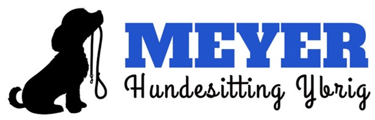 Hundesitting Ybrig
