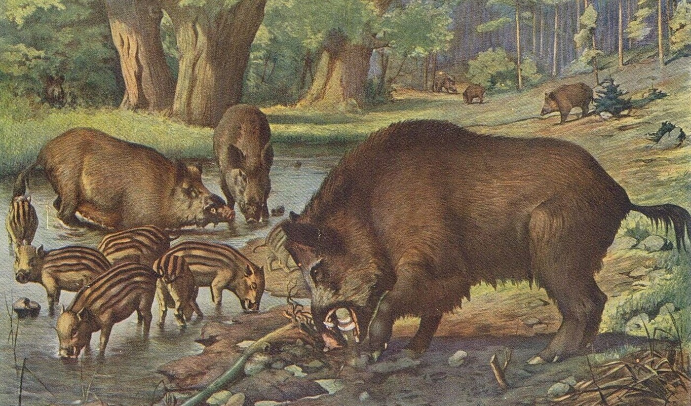 Auf Leinwand putzig (Bild: Wikipedia)