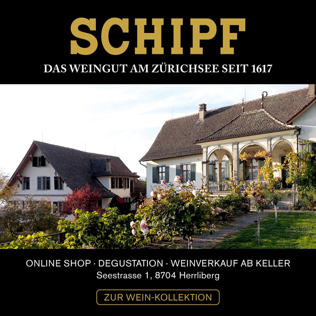 Weingut Schipf