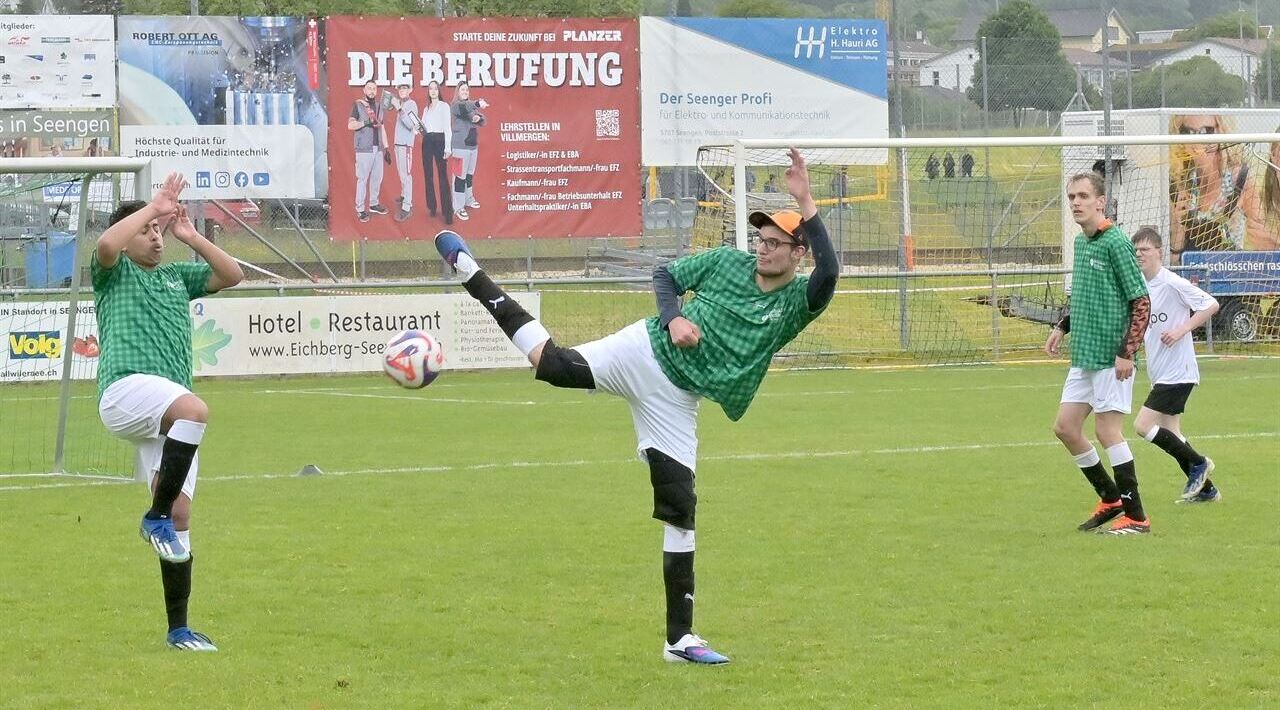 Pokal by Petar